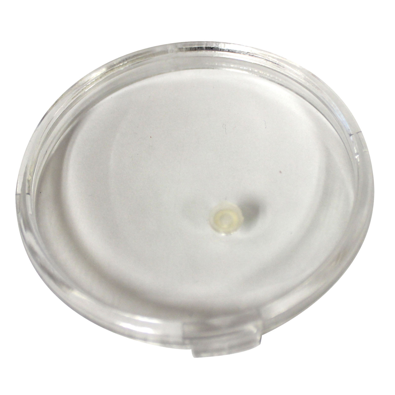 Replacement Gauge Lens 3 1/8"
